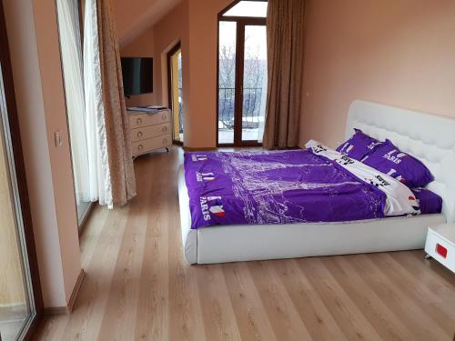 瑟切莱Pensiunea Vila Mocanilor的一间卧室配有一张带紫色床单的床和窗户。