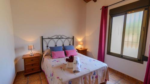 马拉加Casa Rural El Moral的一间卧室配有带粉红色和蓝色枕头的床