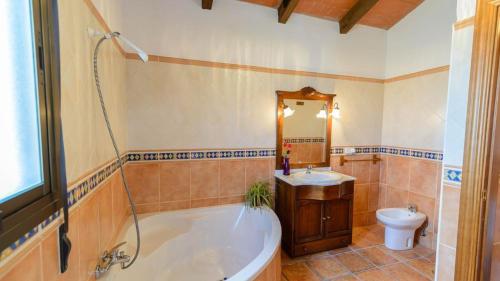 马拉加Casa Rural El Guindo的带浴缸、盥洗盆和卫生间的浴室