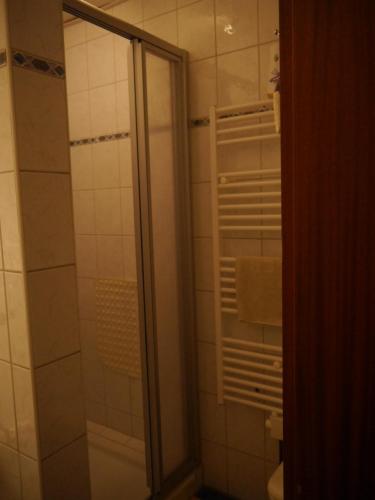 韦策赫德维格膳食公寓酒店的带淋浴的浴室和玻璃门