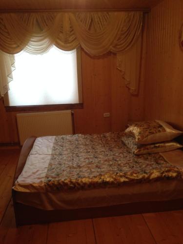 IltsiКарпатська перлина的一张位于带大窗户的房间内的床铺