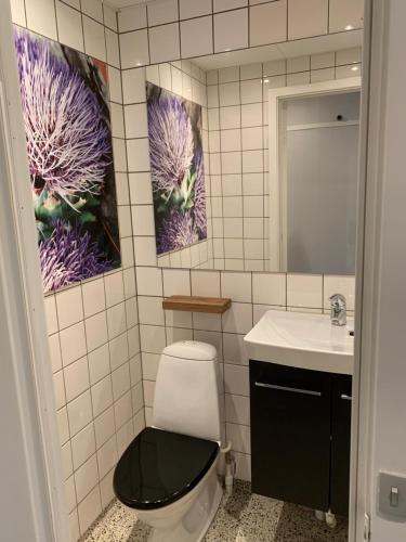 龙斯泰兹卢格思特加德酒店的一间带卫生间、水槽和镜子的浴室
