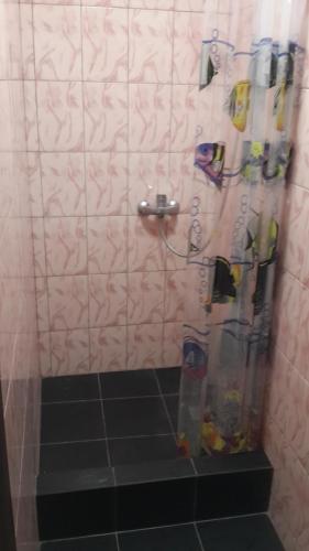 卡普恰盖Гостевой дом Сафар, номера с отдельным входом的带淋浴和浴帘的浴室