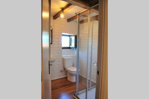 奥尼斯LA CASITA VERDE的一间带卫生间和玻璃淋浴间的浴室