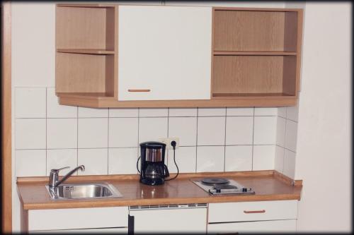 安贝格茵公寓式酒店的厨房柜台设有水槽和搅拌机