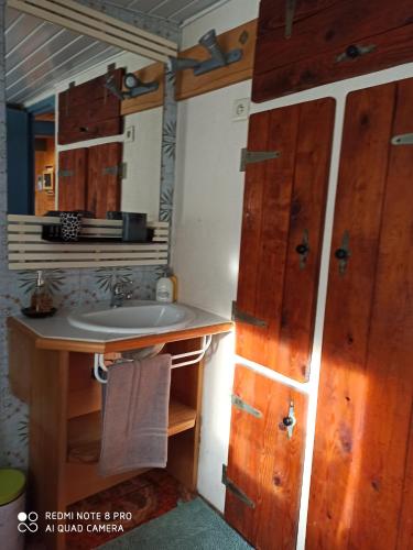 AnouldLes abris de la hulotte的一间带木制橱柜和水槽的浴室