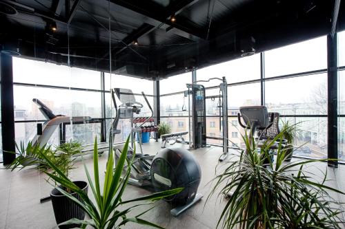 比亚韦斯托克皇家酒店及Spa的健身房设有植物和健身器材,窗户