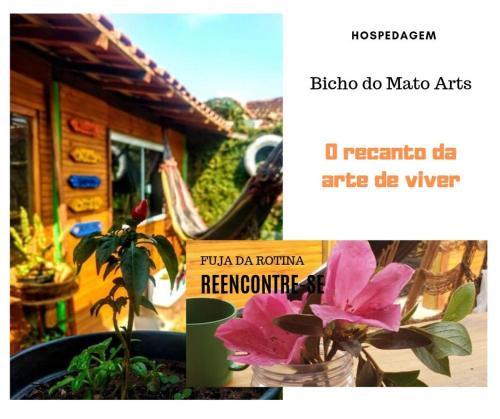 布罗塔斯Hospedagem Bicho do Mato Arts的相册照片