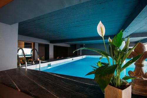 古多里卡佩迪耶姆酒店的一个带木桌和植物的游泳池
