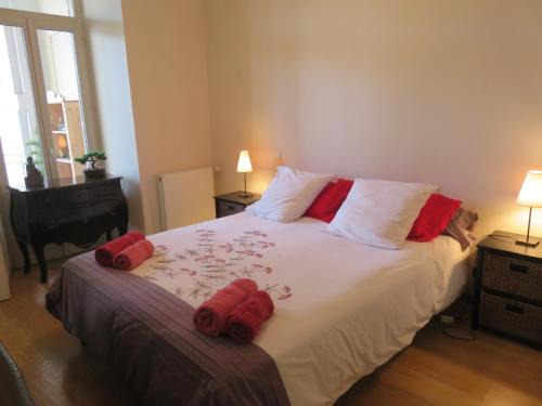 阿热莱斯加佐斯特Le Balcon du Parc, entre Lourdes et Gavarnie的一间卧室配有一张带红色枕头的大床