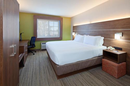 埃斯孔迪多圣地亚哥埃斯孔迪多智选假日套房酒店的酒店客房设有一张大床和一张书桌。