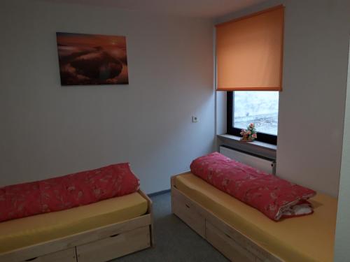 特里尔St Maximin City Ferienwohnungen的客房设有两张床和窗户。