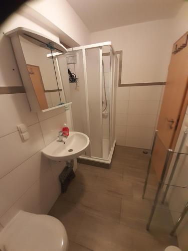 ZirkowFerienwohnung Müller的浴室配有卫生间、盥洗盆和淋浴。