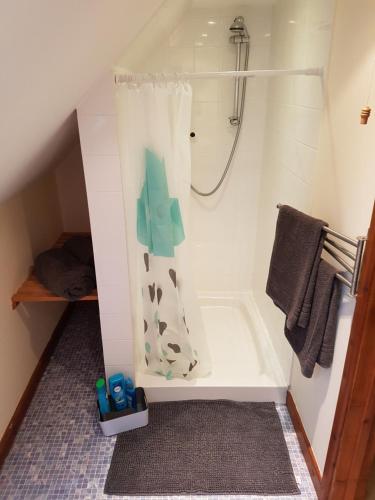 阿伯加文尼The Loft Apartment的带淋浴和浴缸的小浴室