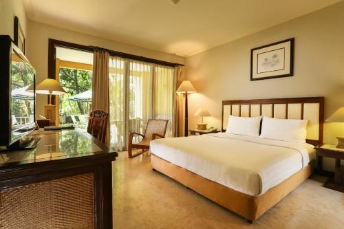 沙拉迪加拉热斯阿斯里度假酒店及Spa中心的一间卧室配有一张床、一张书桌和一台电视