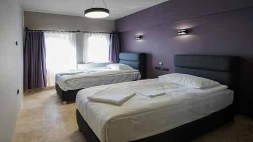格雷梅Adventure Inn Cappadocia的紫色墙壁客房的两张床