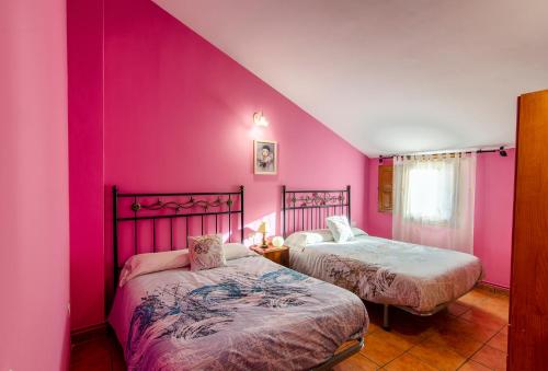 圣马尔廷德特雷韦霍Casa Rural Las 6 Hermanas的配有粉红色墙壁的客房内的两张床