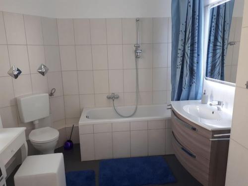 阿尔滕堡Pension Altenburg City的浴室配有卫生间、浴缸和水槽。
