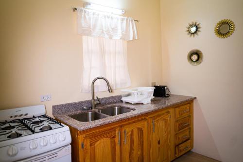 圣约翰斯康妮舒适套房酒店的厨房配有水槽、炉灶和窗户。