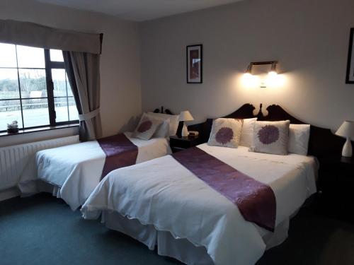 阿斯隆Riverview House的酒店客房设有两张床和窗户。