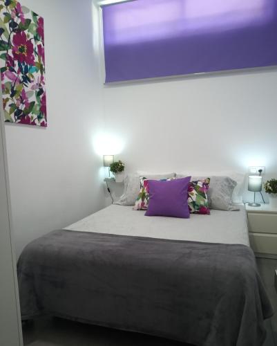 马拉加Marquéz de Ovieco的一间卧室配有一张带紫色枕头的大床