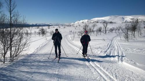 Pensionat Mullfjället平面图