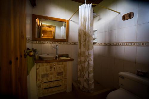 比亚米尔港切斯马纳加拉帕戈斯生态度假酒店的一间带水槽和淋浴帘的浴室