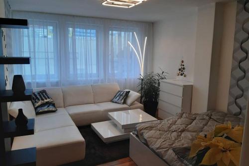 莫斯特Prague apartment in Most near Golf club, aqua-hipo-autodrom in Most的客厅配有沙发和1张床