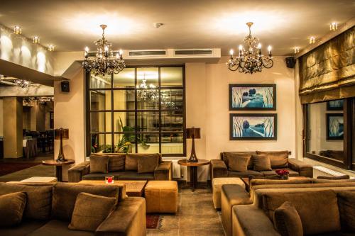 普拉斯蒂拉斯缇坦缇恩酒店的带沙发和吊灯的大型客厅