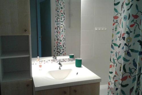 翁德尔T2 Mabouya Ondres plage avec piscine et tennis的一间带水槽和镜子的浴室