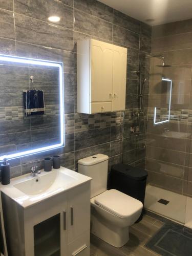 布尔哈索特Apartament Burjasot Free Wifi的一间带卫生间、水槽和镜子的浴室