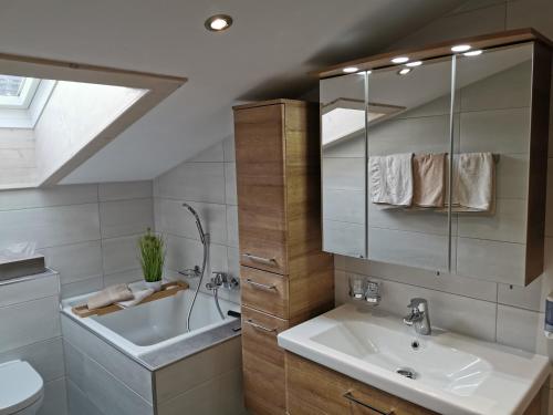 阿亨基希Appartements Waldruh的一间带水槽、卫生间和镜子的浴室