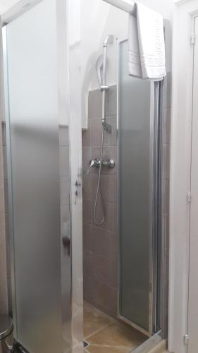 安德拉诺帕拉索美拉瓜酒店的浴室里设有玻璃门淋浴