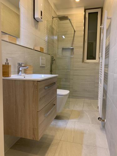 埃森Apartment am Zollverein -WiFi - Parking for free的一间带水槽、卫生间和淋浴的浴室
