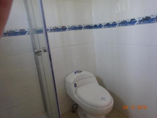 AlerceCabañas Troncos de Alerce en Puerto Montt con tinaja caliente的一间带卫生间和淋浴的浴室