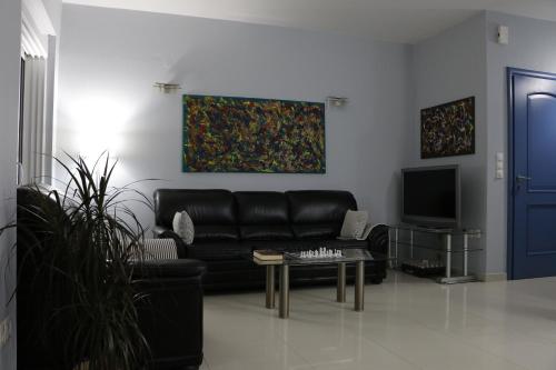 斯巴达Laconian Collection "Lykourgou 10"的客厅配有黑色真皮沙发和电视