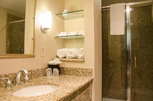 Pewaukee佩​​沃基-密尔沃基西部假日酒店的一间带水槽和淋浴的浴室