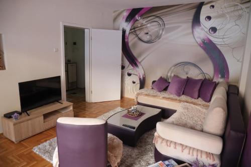 新瓦罗什Apartman Aleksandar的带沙发和电视的客厅