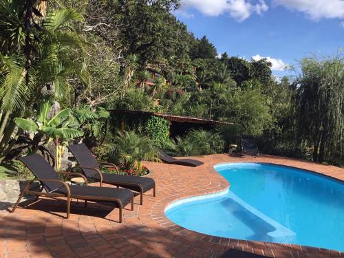 圣克鲁斯拉拉古纳Casa Wenche的毗邻度假酒店的带躺椅的游泳池