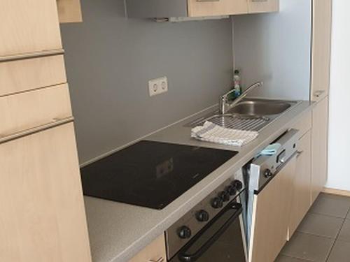 莱茵河畔威尔Apartements im TSB Sportpark的厨房配有水槽和台面