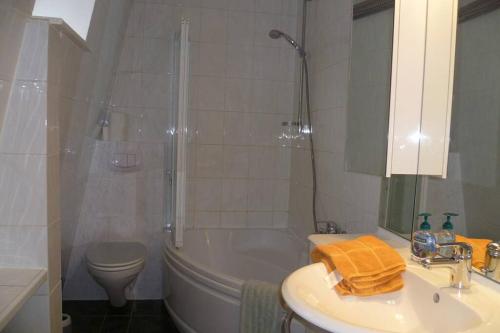巴特萨尔茨乌夫伦Villa Greve - Maisonette Suite的带淋浴、盥洗盆和卫生间的浴室