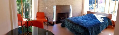 蒙特韦尔迪Robinson Cottage Monte Verde MG的一间卧室设有一张床和一个壁炉