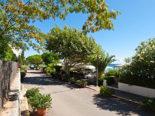 韦基奥圣露西港口皮纳雷洛别墅酒店的阳光明媚的日子里,一条树木和植物林立的街道