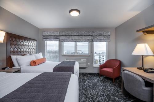 西雅图地中海旅馆的酒店客房带两张床、椅子和窗户