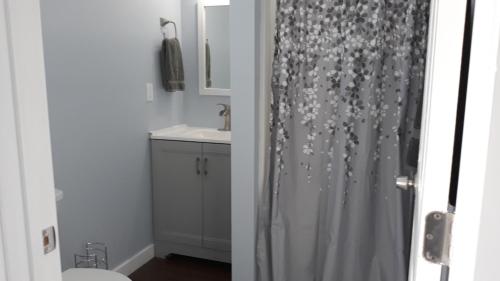 三河城The Sequoia Hut!的浴室配有淋浴帘和盥洗盆。