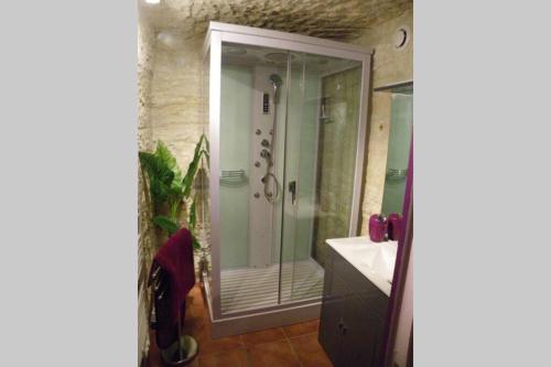 NazellesLes Hauts de Nazelles的带淋浴和盥洗盆的浴室
