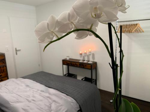 比尔Central & Elegant Room in Biel的卧室里一个白色的大花瓶