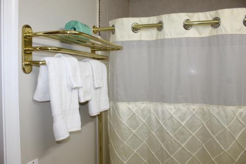 加洛韦自由汽车旅馆的浴室配有淋浴帘和白色毛巾