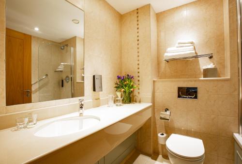 博德明兰海德罗克高尔夫俱乐部酒店的一间带水槽和卫生间的浴室