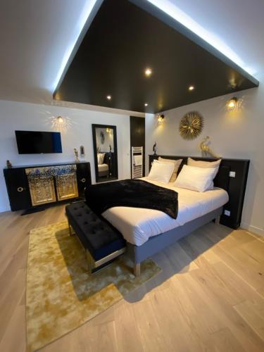 孔卡尔诺Les Suites de Bougainville的一间大卧室,配有一张大床和一台电视